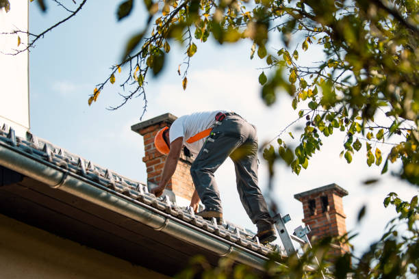 Best Roof Leak Repair  in Springville, IA