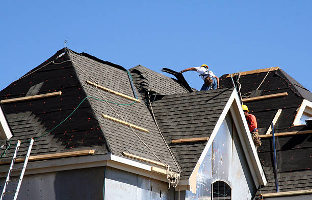 Best Roof Gutter Cleaning  in Springville, IA