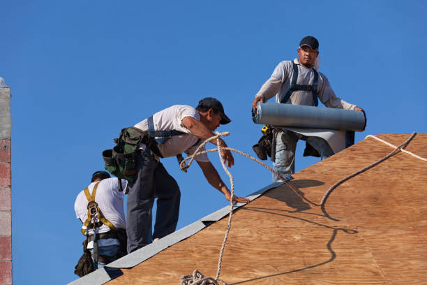 Best Roof Leak Repair  in Springville, IA