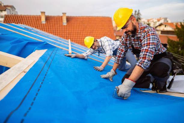 Best Residential Roofing Contractor  in Springville, IA
