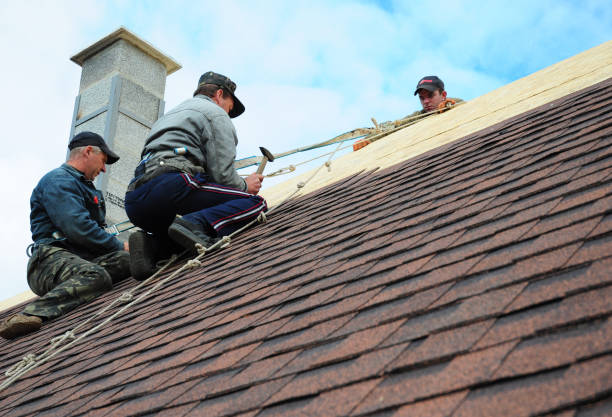 Best Storm Damage Roof Repair  in Springville, IA