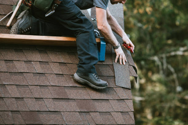 Best Flat Roof Repair Services  in Springville, IA
